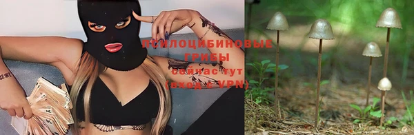 тгк Киренск