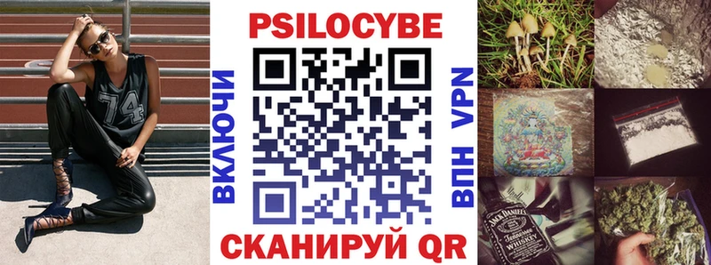 Купить  Гвардейск  Псилоцибиновые грибы Psilocybine cubensis 